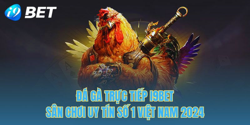 Theo dõi chọi kê C1 ngay tại I9bet với nhiều ưu điểm vượt trội