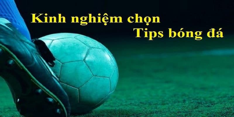 Kinh nghiệm của chuyên gia I9bet giúp tăng xác suất dự đoán trúng